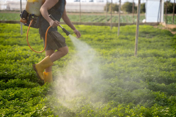 Best Pest Control for Homes  in Addison, WV