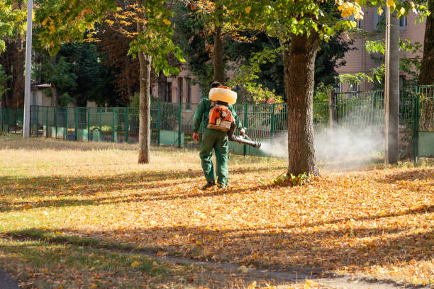 Best Pest Prevention Services  in Addison, WV