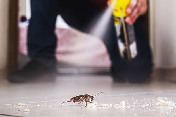 Pest Prevention Services in Addison, WV