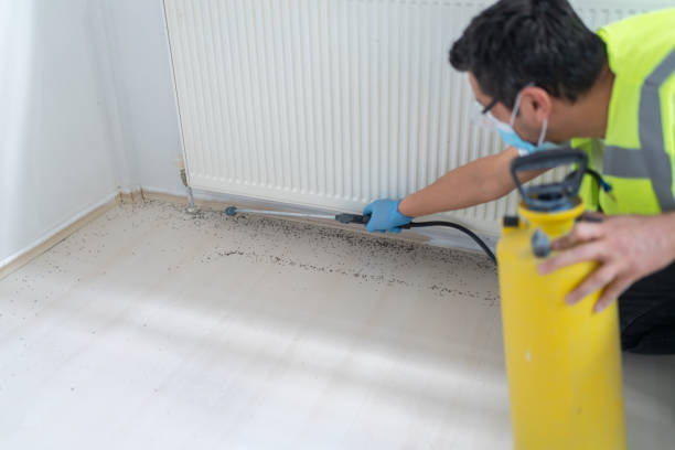 Best Affordable Pest Control Services  in Addison, WV